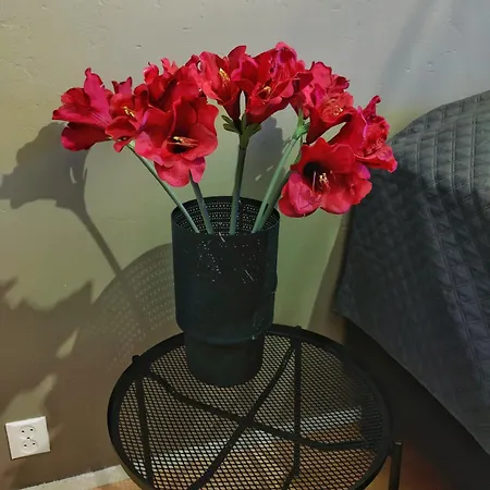 Mesikaemmen - Free Parking & Wifi - Next To The Forest - Rating 9,4 Apartamento *